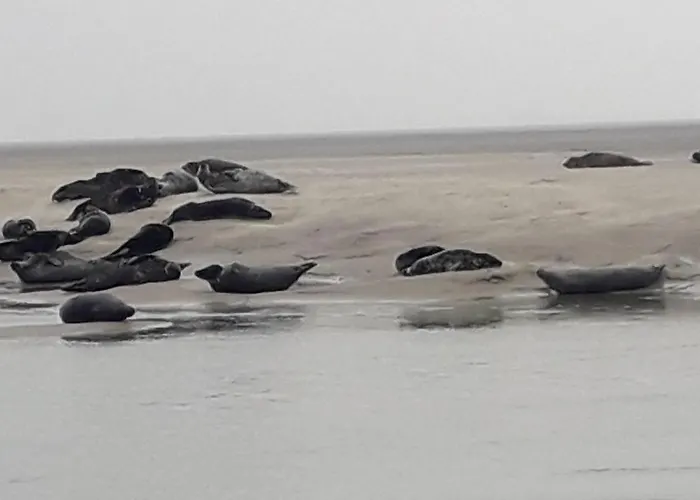 Le Refuge By Interhome *